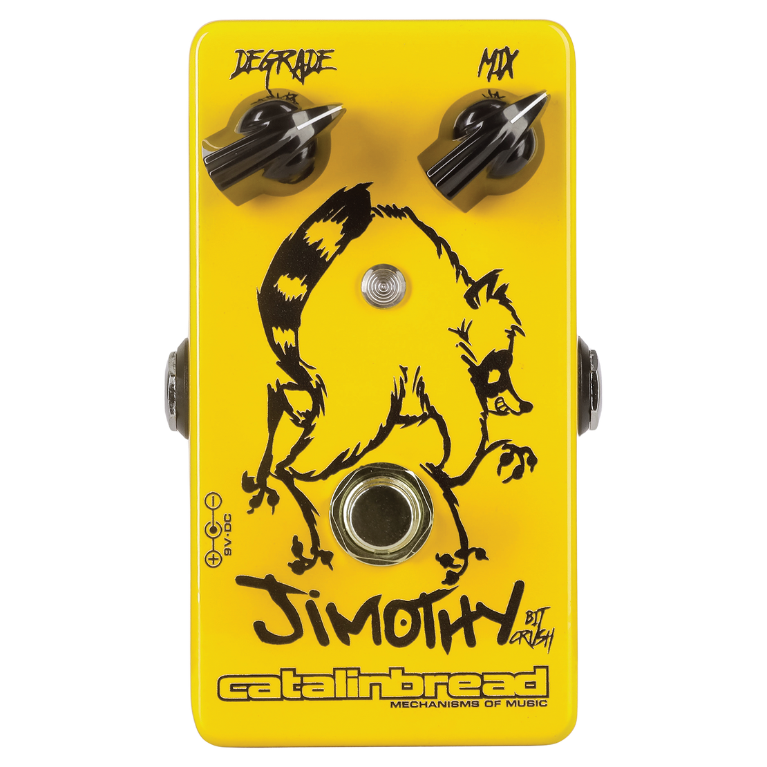 Jimothy (Newsletter Exclusive)